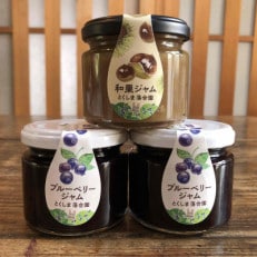 【ジャム3本入】自家農園産クリとブルーベリーのジャムセット　徳島県板野町　栽培期間中農薬不使用 | ふるさと納税のお礼品