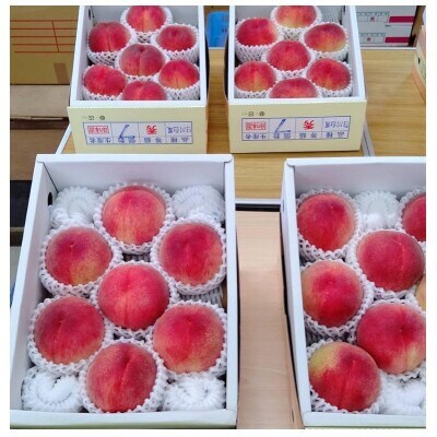 【2024年度先行受付】徳島の桃　happeach　糖度13度以上　2kg(7個入り)