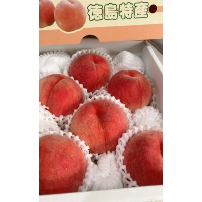【2024年度先行受付】日ノ本園の桃　happeach　糖度13度以上　2kg(6個入り)