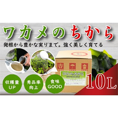 ワカメのちから　10L箱
