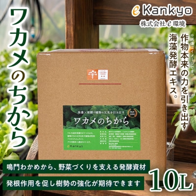 ワカメのちから　10L箱
