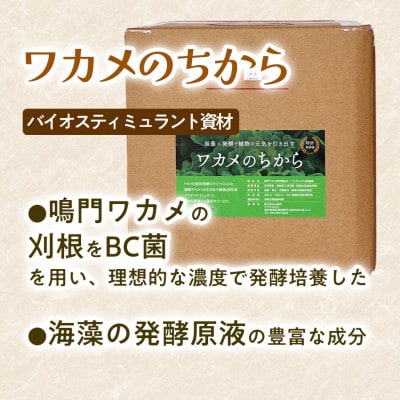 ワカメのちから　10L箱