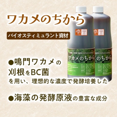 ワカメのちから　1Lボトル