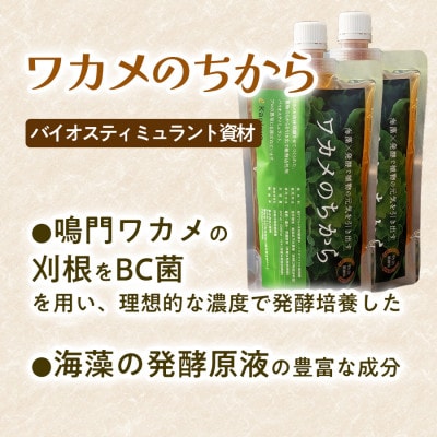 ワカメのちから　300mℓボトル
