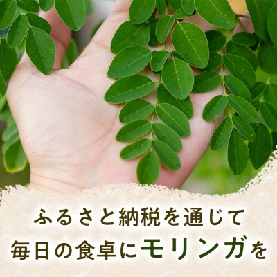 【毎日の食事とご一緒に】モリンガ茶(40g)×2袋 1セット お茶 モリンガ 徳島県 板野町