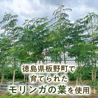 【毎日の食事に取り入れやすい】モリンガ茶(40g×1袋) モリンガパウダー(40g×1袋)　1セット