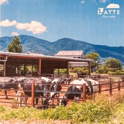 《2種10個入り》海コーヒー&ミルク「ラッテ自家生乳ジェラート」　井上牧場直営のジェラート専門店