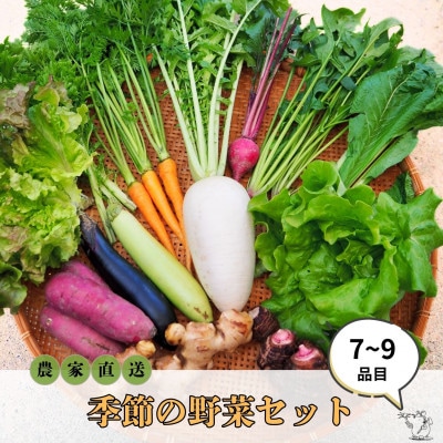 【農家直送】なるべく自然に近い環境で栽培した「季節のおまかせ野菜セット』(7～9品)