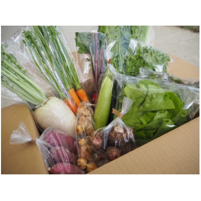 【農家直送】なるべく自然に近い環境で栽培した「季節のおまかせ野菜セット』(7～9品)
