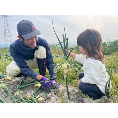 【農家直送】なるべく自然に近い環境で栽培した「季節のおまかせ野菜セット』(7～9品)