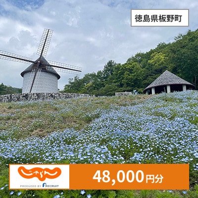 【じゃらんふるさと納税クーポン】 徳島県板野町でつかえる48,000円 クーポン