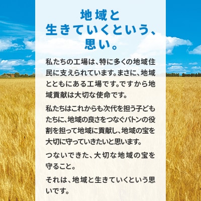 【菊水】北海道 名店ラーメン10食セット 寒干し製法を応用して作られた寒干しラーメン 常温保存