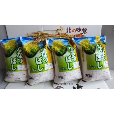 【エコファーマー やまもと農園】令和元年産ななつぼし20kg