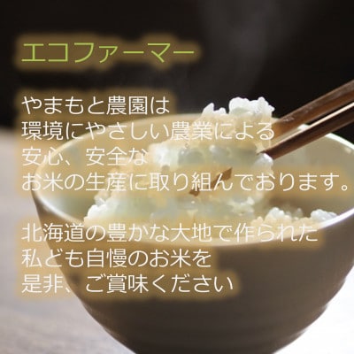 2023年1月発送開始『定期便』エコファーマー やまもと農園のななつぼし 10kg 全2回
