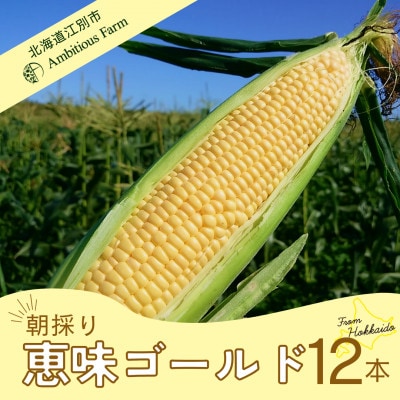 Ambitious Farmのとうもろこし　恵味ゴールド　6本×2箱