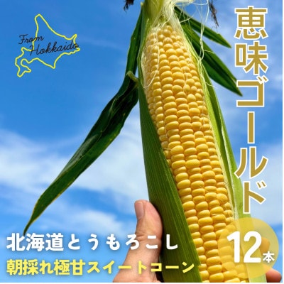 朝もぎ直送|Ambitious Farm　極甘スイートコーン　12本【2026年7月下旬より発送】