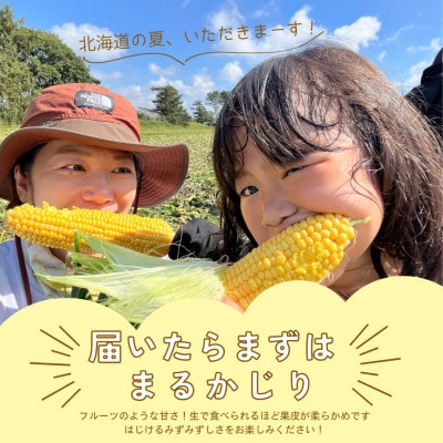 Ambitious Farmのとうもろこし　恵味ゴールド　6本×2箱