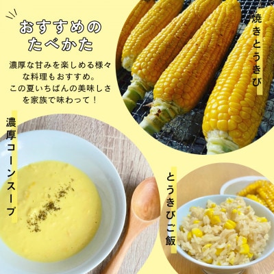 Ambitious Farmのとうもろこし　恵味ゴールド　6本×2箱