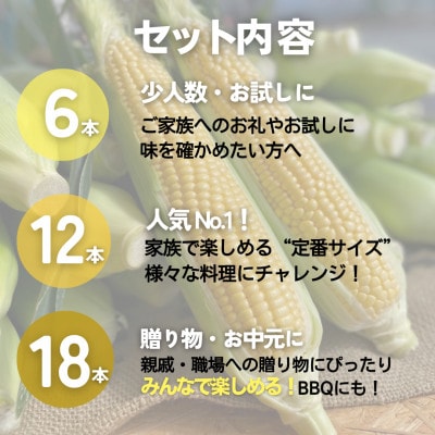 朝もぎ直送|Ambitious Farm　極甘スイートコーン　12本【2026年7月下旬より発送】