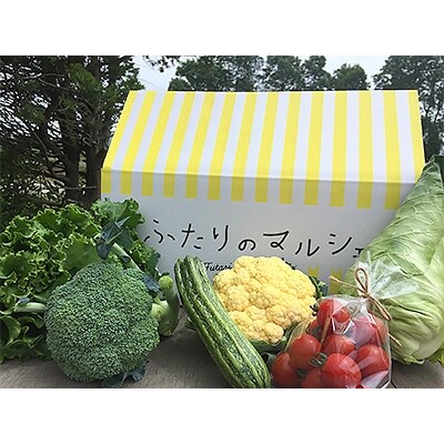 季節の彩り野菜セット(6品種以上)
