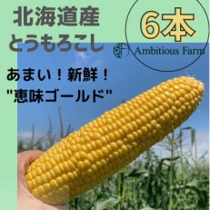Ambitious Farmのとうもろこし　恵味ゴールド　(6本/1箱) | ふるさと納税のお礼品