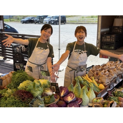 北海道江別産　季節の彩り野菜セット　L|Ambitious Farm