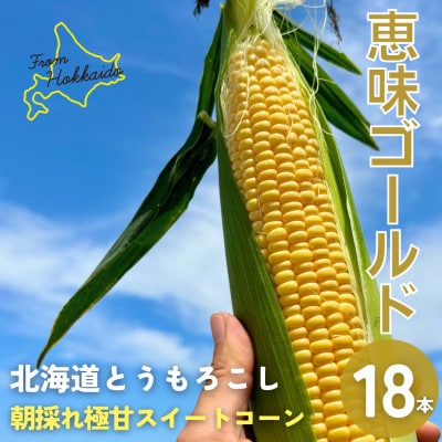 朝もぎ直送|Ambitious Farm　極甘スイートコーン　18本【2026年7月下旬より発送】