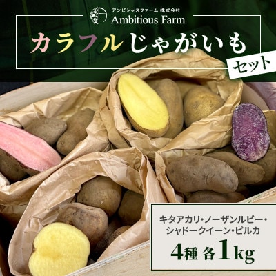 【4つのじゃがいもを食べ比べ】直売所で人気!カラフルじゃがいもセット 北海道江別産 直送 4kg!