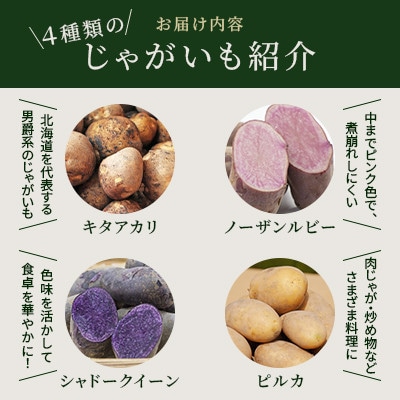 【4つのじゃがいもを食べ比べ】直売所で人気!カラフルじゃがいもセット 北海道江別産 直送 4kg!
