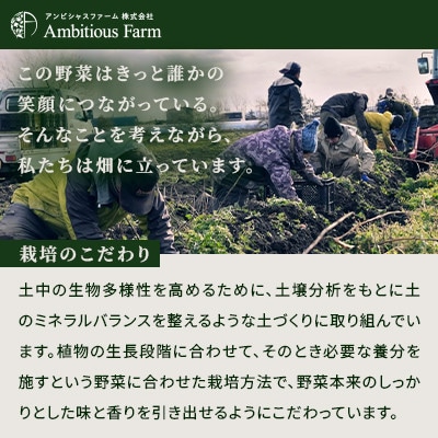 【4つのじゃがいもを食べ比べ】直売所で人気!カラフルじゃがいもセット 北海道江別産 直送 4kg!