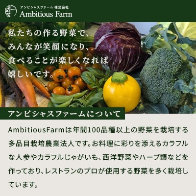 【4つのじゃがいもを食べ比べ】直売所で人気!カラフルじゃがいもセット 北海道江別産 直送 4kg!