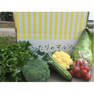 北海道江別産　季節の彩り野菜セット　S|Ambitious Farm