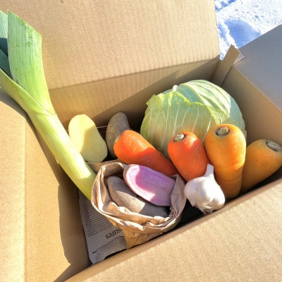 北海道江別産　季節の彩り野菜セット　S|Ambitious Farm