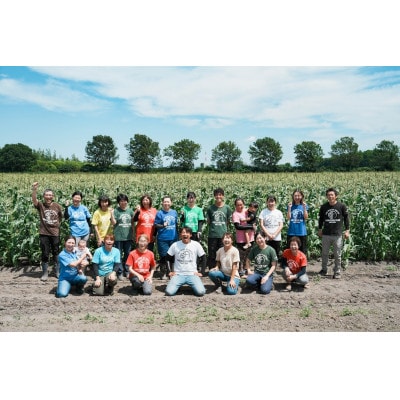 北海道江別産　季節の彩り野菜セット　S|Ambitious Farm