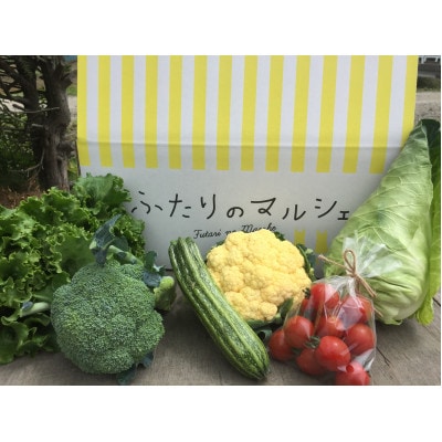 【発送月固定定期便】Ambitious Farm 季節の彩り野菜セット　S　(7・9・11月)全3回