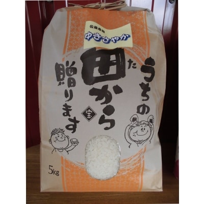 北海道米食べ比べセット　ゆめぴりか(精米)・ゆきさやか(精米)【各5kg】