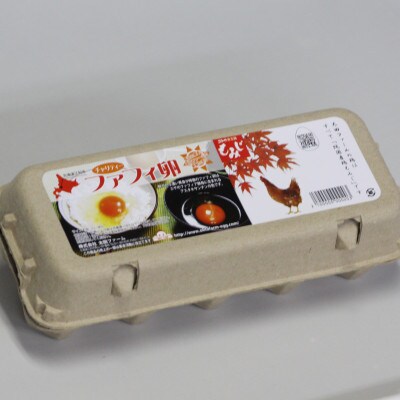 江別産　濃厚な黄身　ファフィ卵合計40個(10個入×4パック)