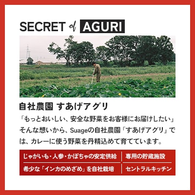 【Suage(すあげ)】スープカレー スープ3食セット 行列ができる 札幌 名店の味  北海道