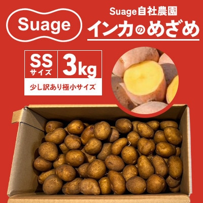 Suage 自社農園直送 インカのめざめSSサイズ 3kg