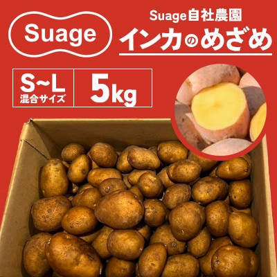 Suage 自社農園直送 インカのめざめS～L 混合サイズ 5kg