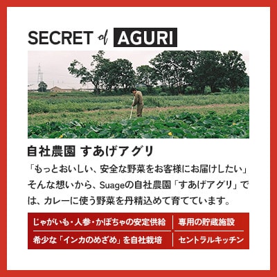 Suage 自社農園直送 インカのめざめS～L 混合サイズ 5kg