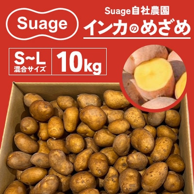 Suage 自社農園直送 インカのめざめS～L 混合サイズ 10kg