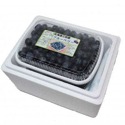 【令和4年収穫】江別産ブルーベリー(冷凍)500g×2パック