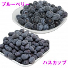 【令和5年収穫】江別産ハスカップ400g&amp;ブルーベリー500g(冷凍)