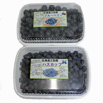 【令和5年収穫】江別産ハスカップ400g&ブルーベリー500g(冷凍)