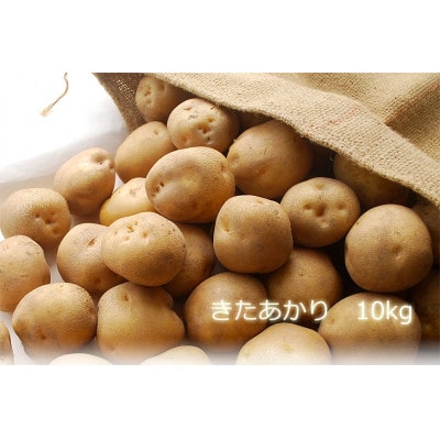 きたあかり10kg【2025年10月より順次発送】