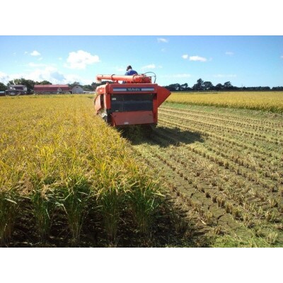 北海道　宮川農園のゆめぴりか(精米10kg)