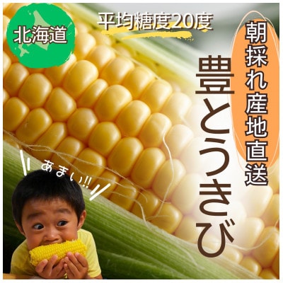 北海道　宮川農園　豊とうきび　8本セット