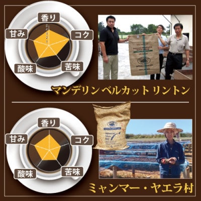 契約農園4種レギュラーコーヒー100g飲み比べセット　～豆～