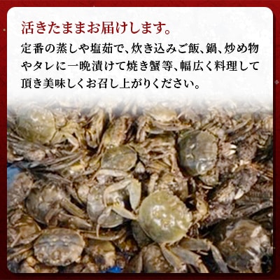 石狩川・江別産　天然もくず蟹　オス・メス混合　1kg(4杯前後)